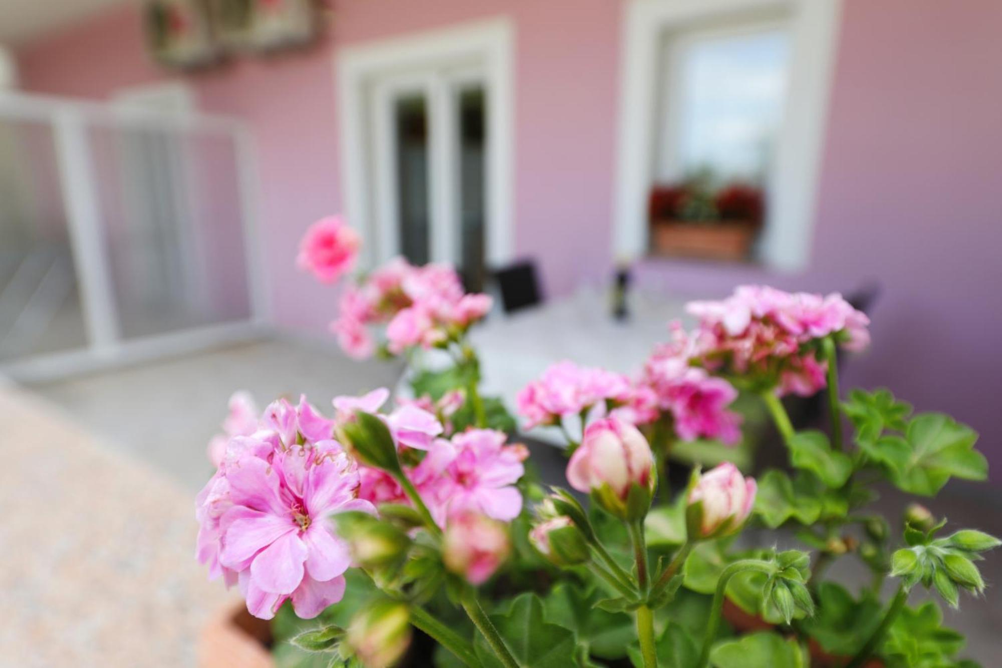 Villa Rajna Stari Grad Szoba fotó
