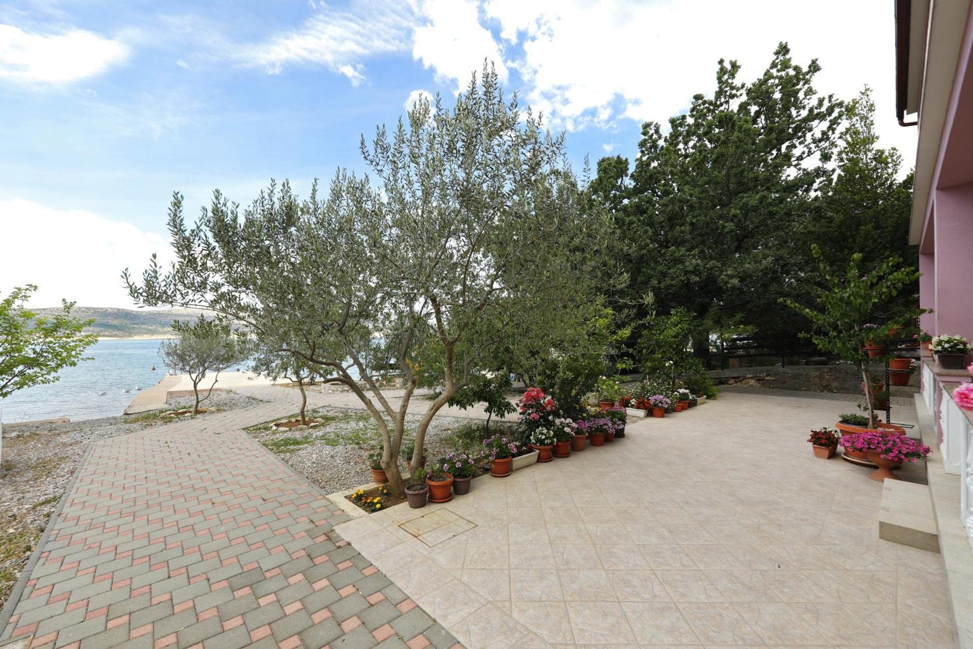 Villa Rajna Stari Grad Szoba fotó
